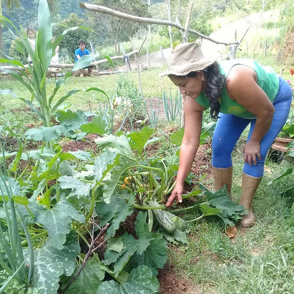 Rural women … supporting life, working together for their families and their community